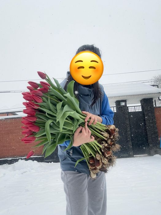 Тюльпаны оптом Алматы