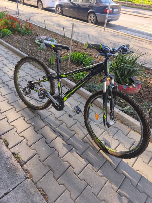 Drag Canyon Trekking