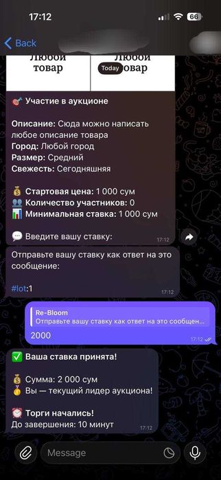 Telegram-бот для аукционов и торгов под ключ