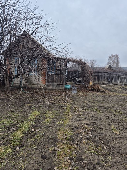 Дача, 17 маршрут. 7 общество