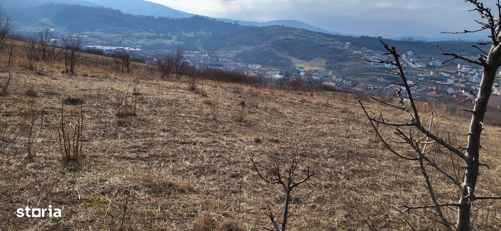 Teren Intravilan 43Ari zona Ortelec-Zalau intre case 4800eur/ar