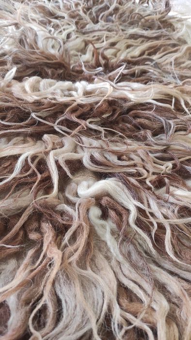 Автентичен родопски китеник/губер