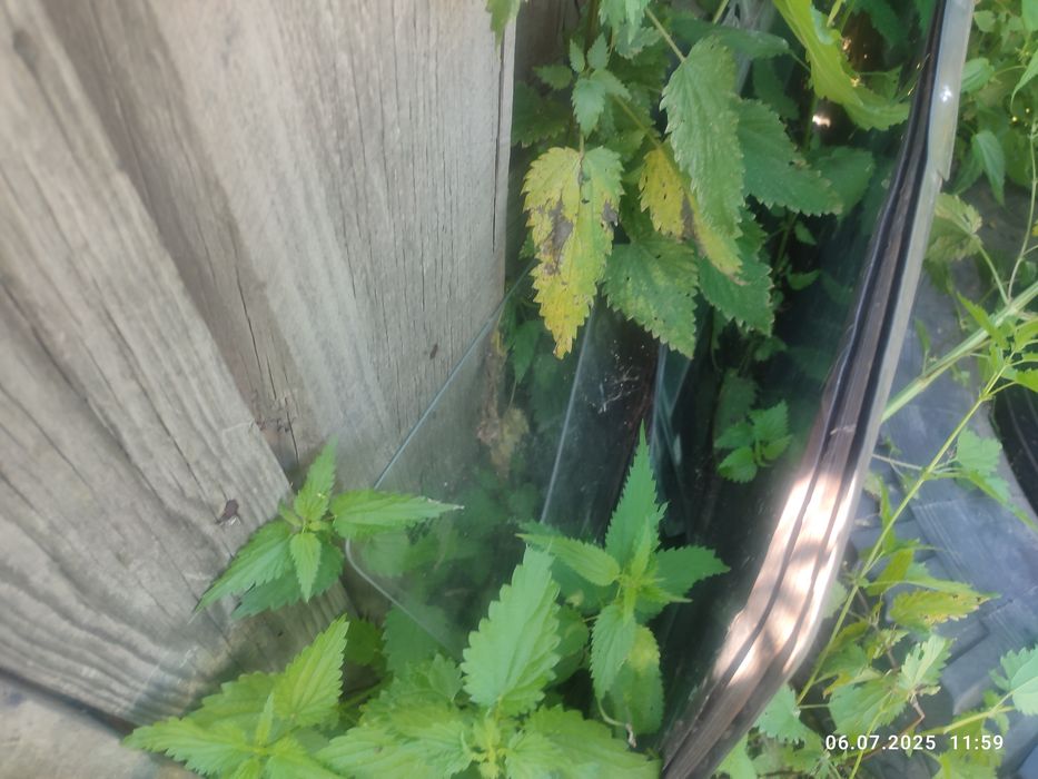 Продам стекла на ВАЗ 2114