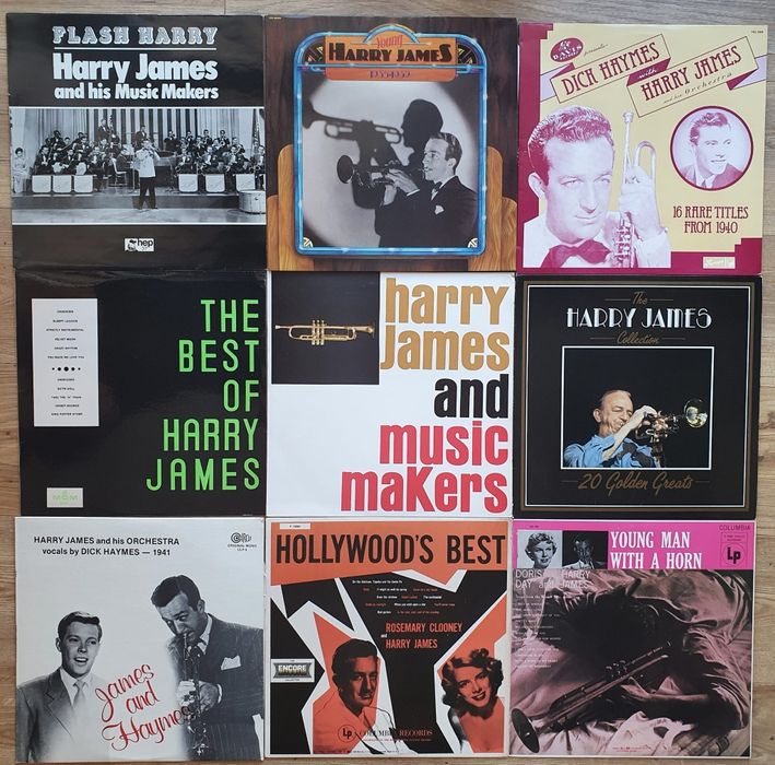 Vinyl - vinil Sting The Police The Doors Eric Clapton Vangelis B Dylan