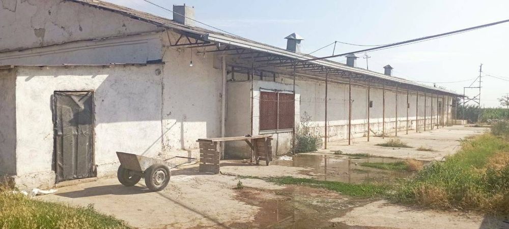 10 га Новый Ташкент