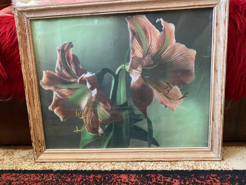 Продавам Картини