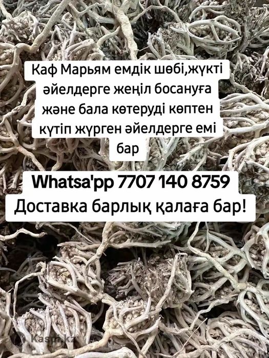 Каф Марьям алматы