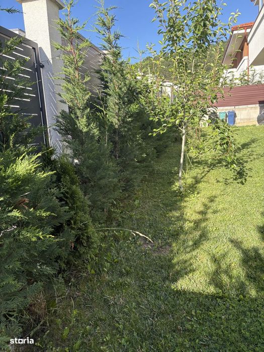 Vand Casa Individuala Floresti str Narciselor