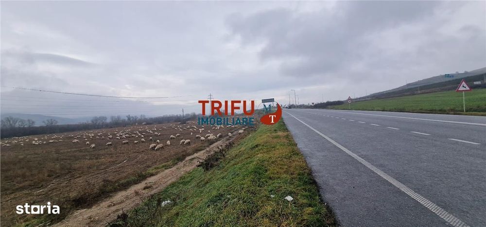Teren extravilan 6257mp în drumul Clujului