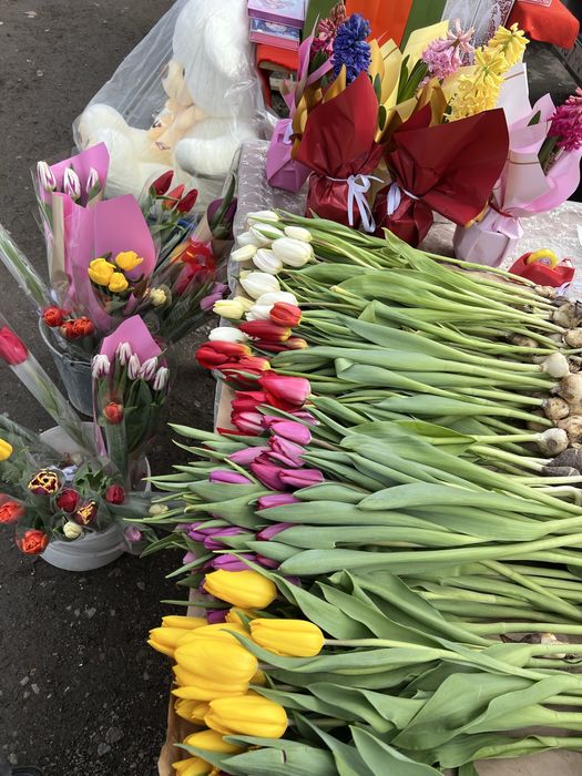 Тюльпаны свежие , разных оттенков