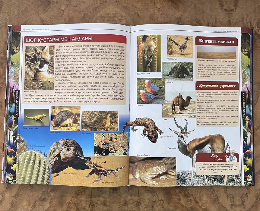 Энциклопедии