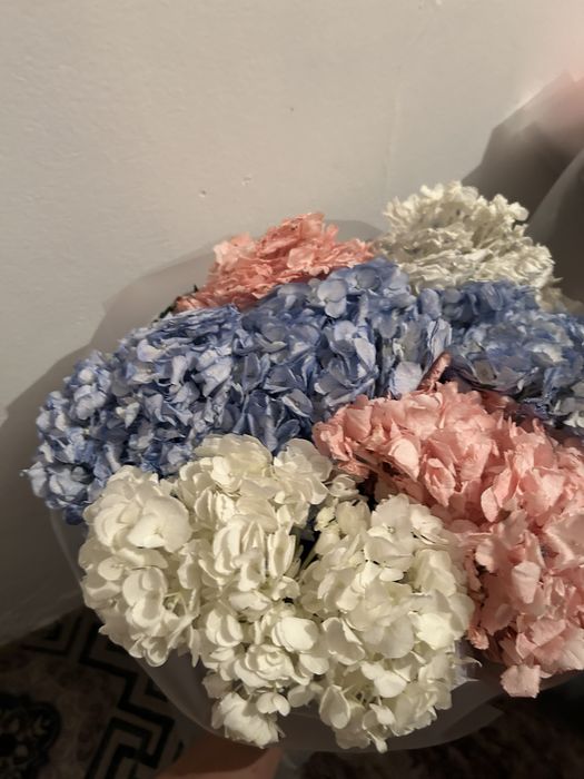 Гул цветы сатылады