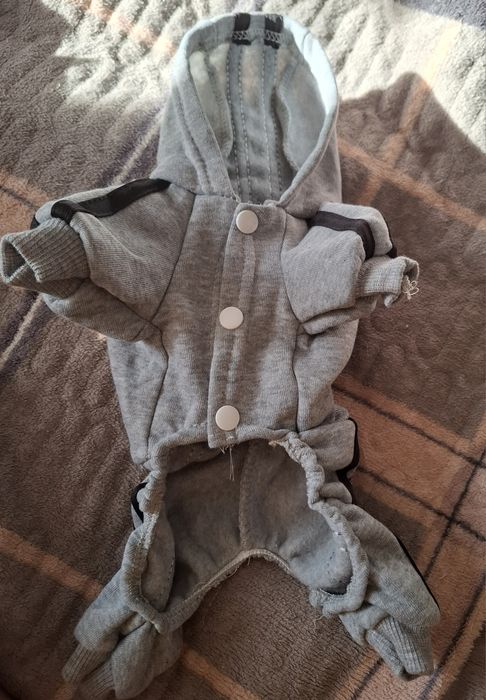 Костюм для собаки