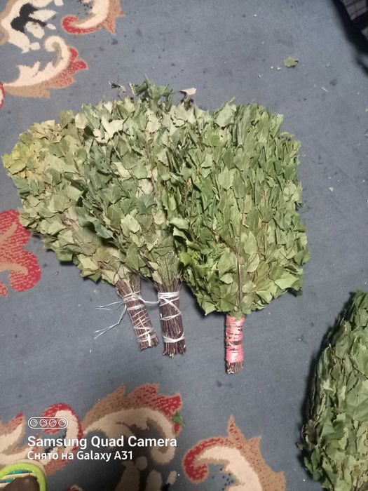 Веники березовые