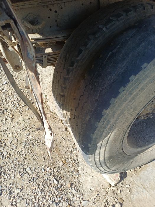 Zil balon 260 diskadi bilan