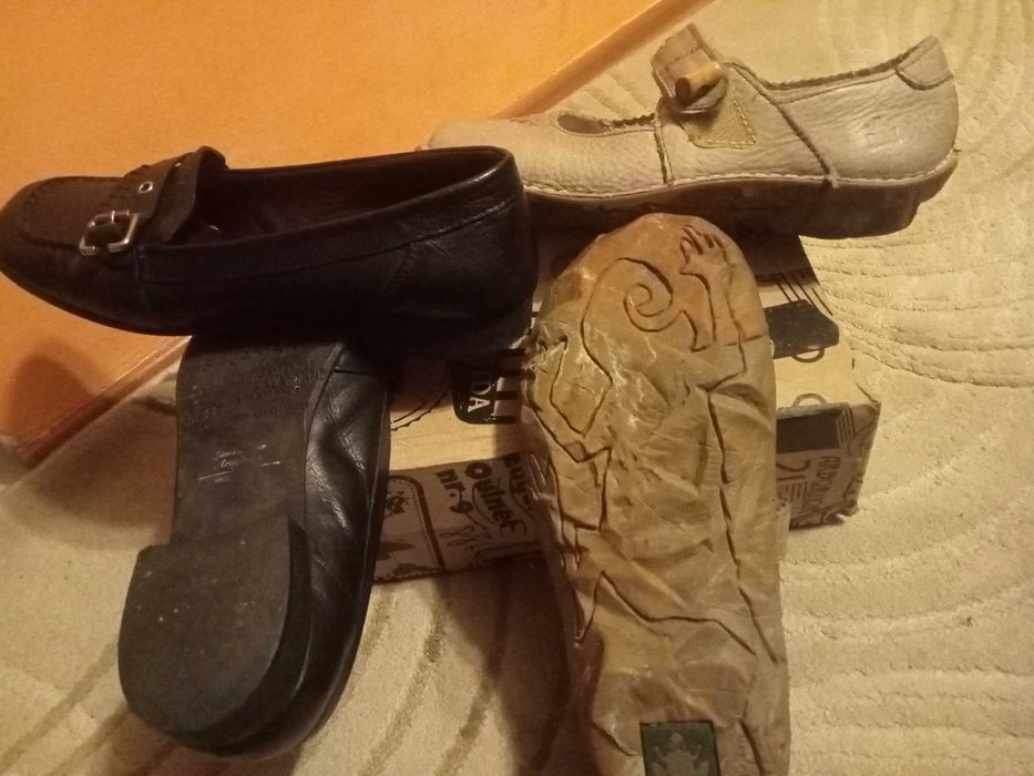 El Naturalista 37, Salamander 38, Fusta S.Oliver, 38