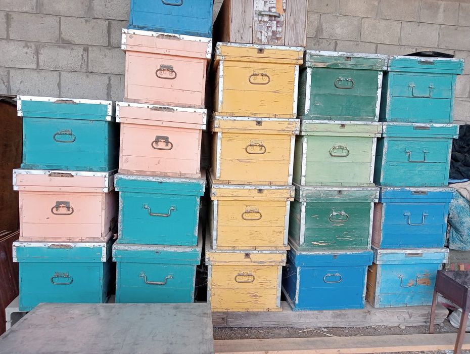 Продам улья Дадан