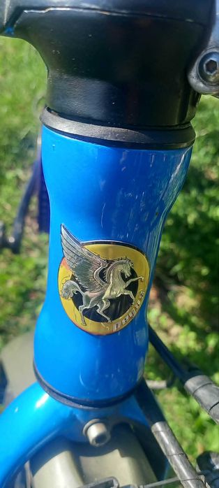 Pegas ELECTRICA Camping Dinamic E-Bike