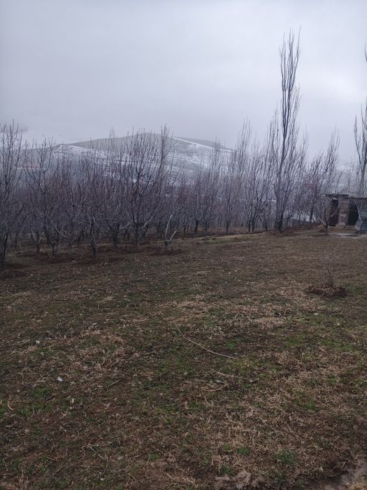 Uy sotladi srochni дом прадаётса срочни
