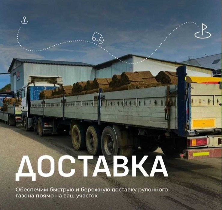 готовый живой газон в Алмате под ключ