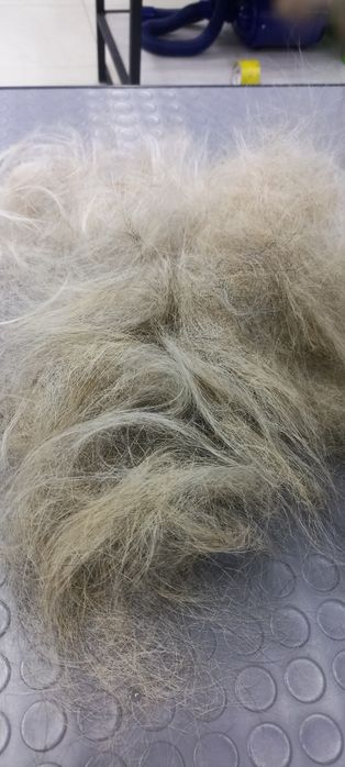 Собачья шерсть разного типа в перемешку