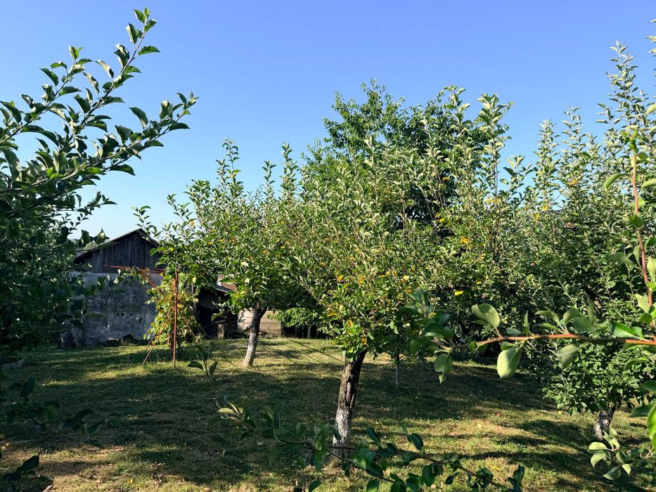 Casa cu anexe gospodaresti, livada si gradina