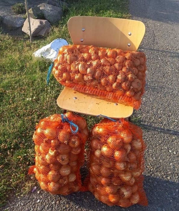 Ceapa de vânzare