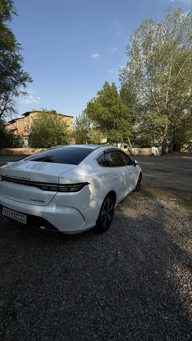 Продаю Chazor flagship 120km