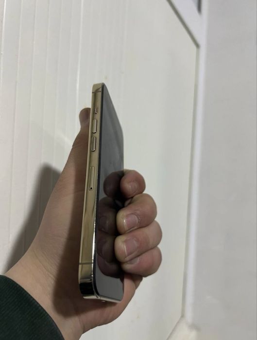 Iphone 13 Pro ideal