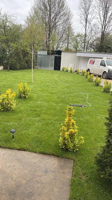 Plante ornamentale si gazon rulou cu sistem de irigati