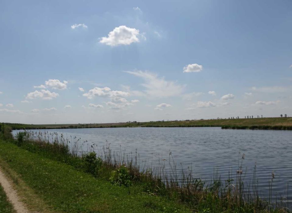 PROPRIETAR - 2000 mp langa padure si lac