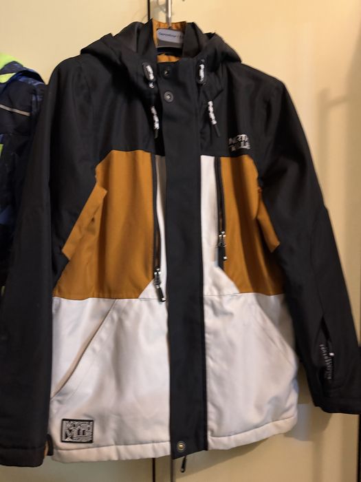 Geci de iarna si primavara