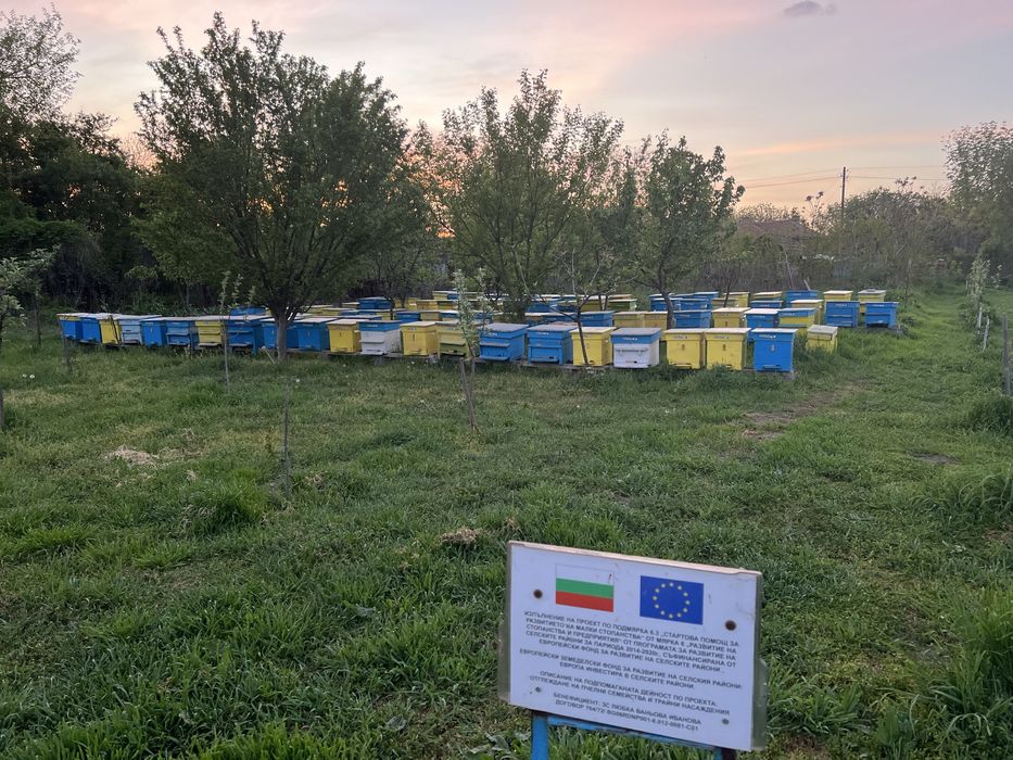 Пчелен мед Билков