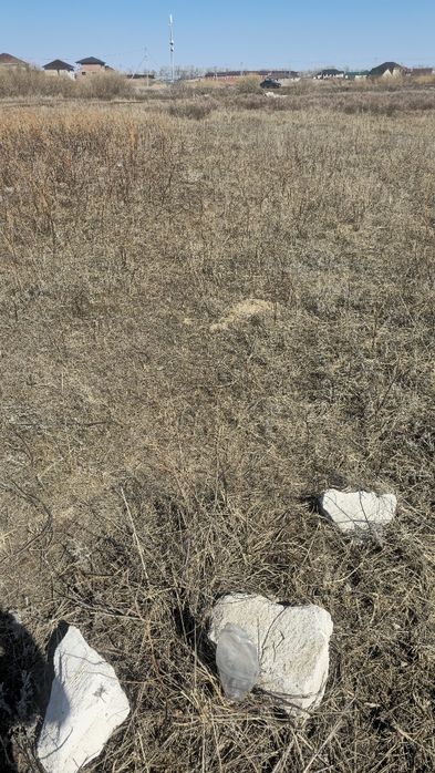 Мектепке жакын жер телімі