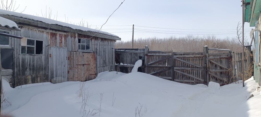 Дома в селе Токуши