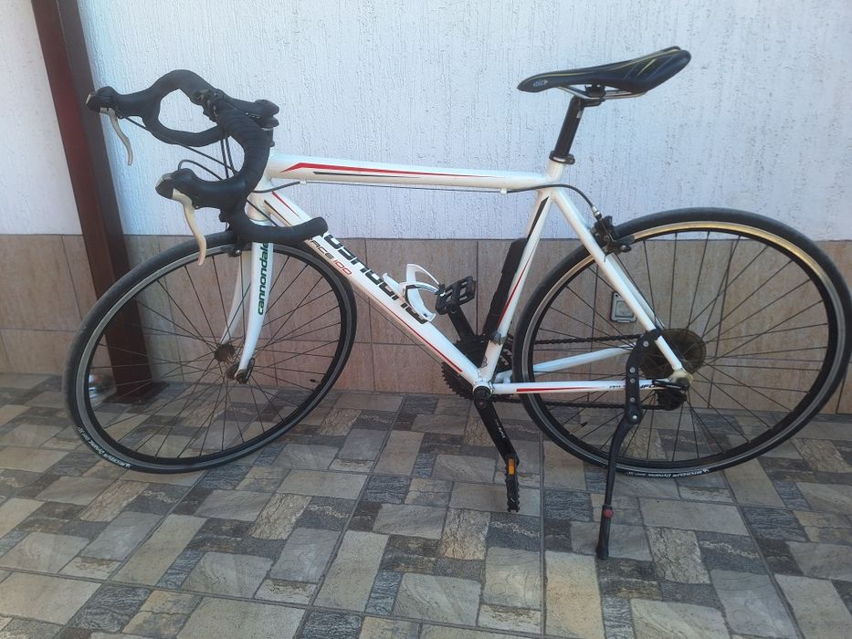 Semicursiera Mudyfox race 100