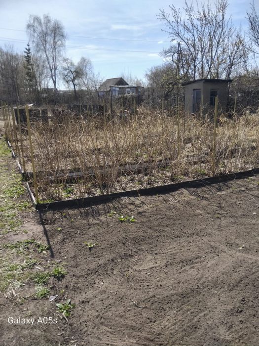 Продам дачный участок