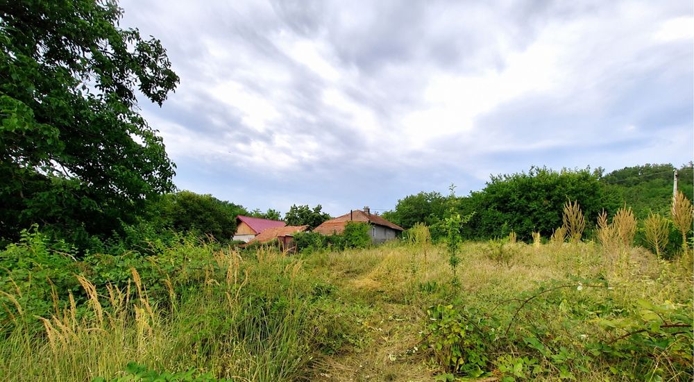 Casa de vanzare cu teren 5361mp