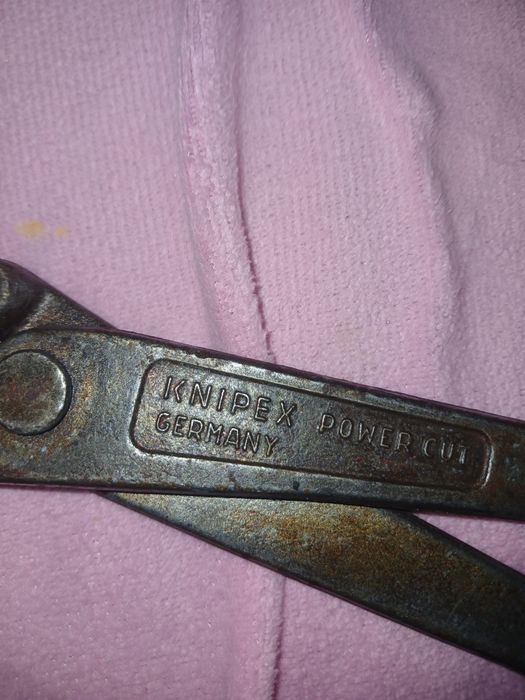 Cleste dulgher knipes