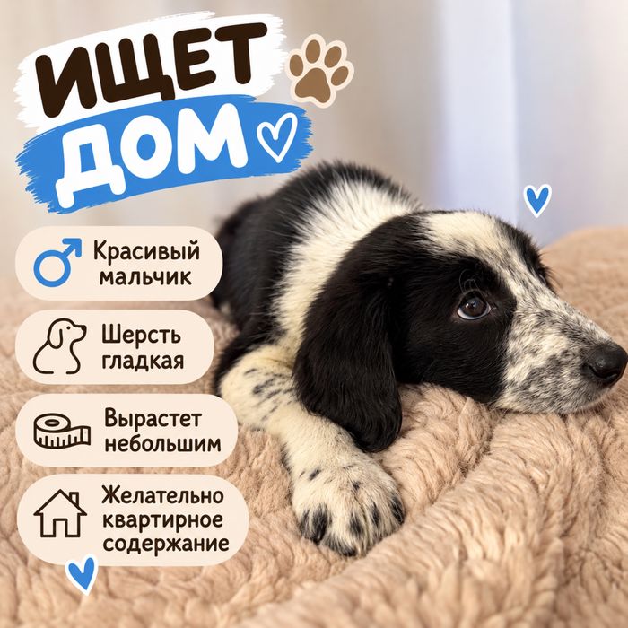 Отдам в хорошие руки