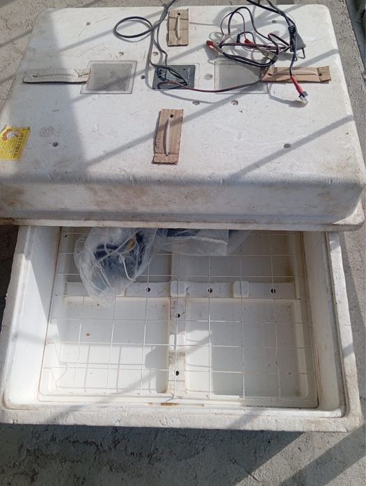 инкубатор для цыплят