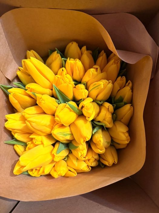 Тюльпан оптом Семей