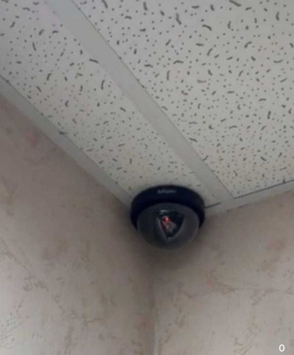 Реалистичный муляж камеры в подьезд