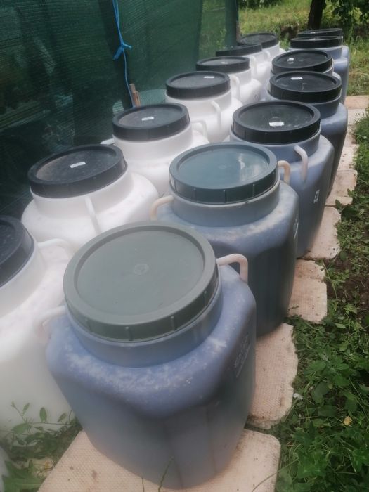 Vând miere BIO,  mană, poliflora, rapiță