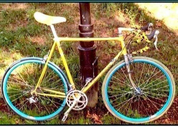 Cursieră clasică din oțel