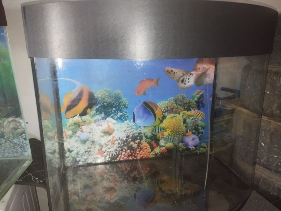 Продам аквариум заводской,на 150 литров,в нормальном состоянии,обзорны