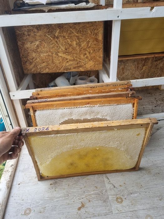 Vand miere si produse apicole naturale
