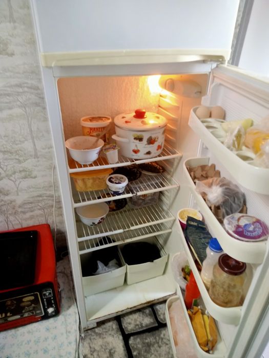 Xaladenlik nord raseski