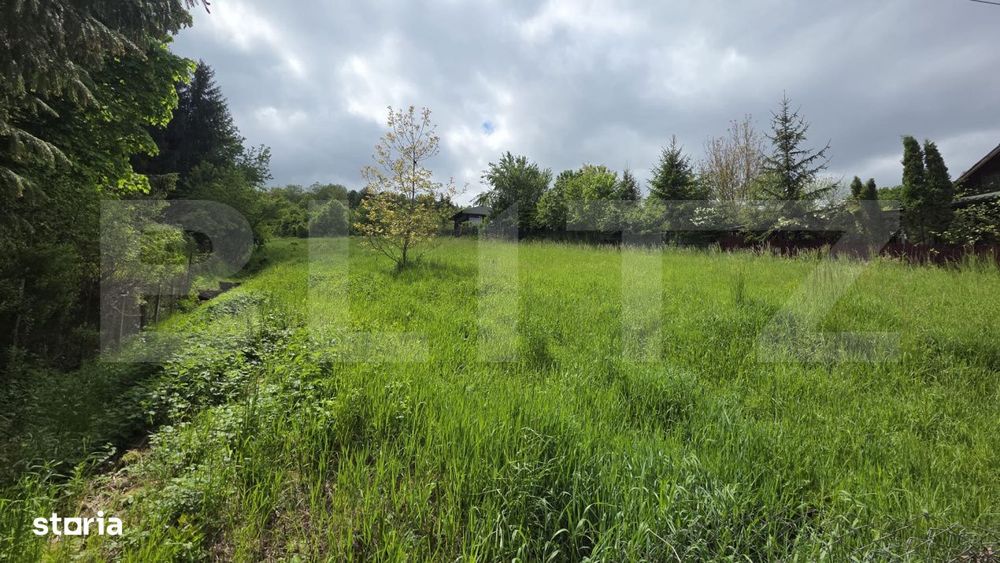 Teren intravilan de vanzare, 2293 mp | Valea Jelnei