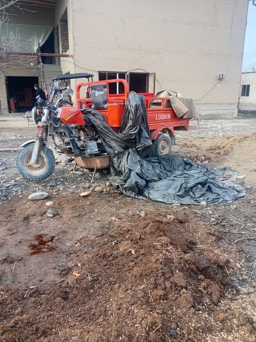 Lochin sroshni sotiladi